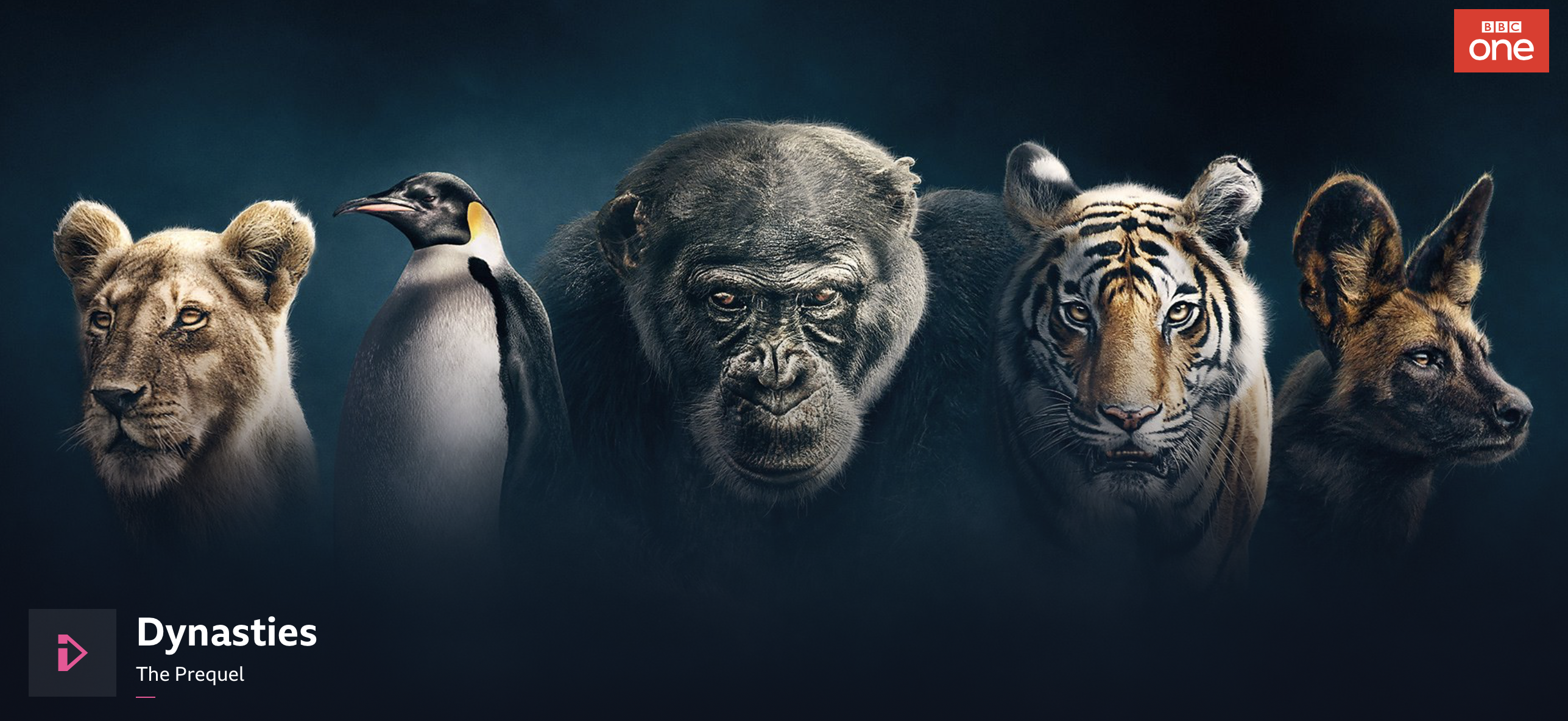 Screenshot 2018-11-12 at 12.28.30.png